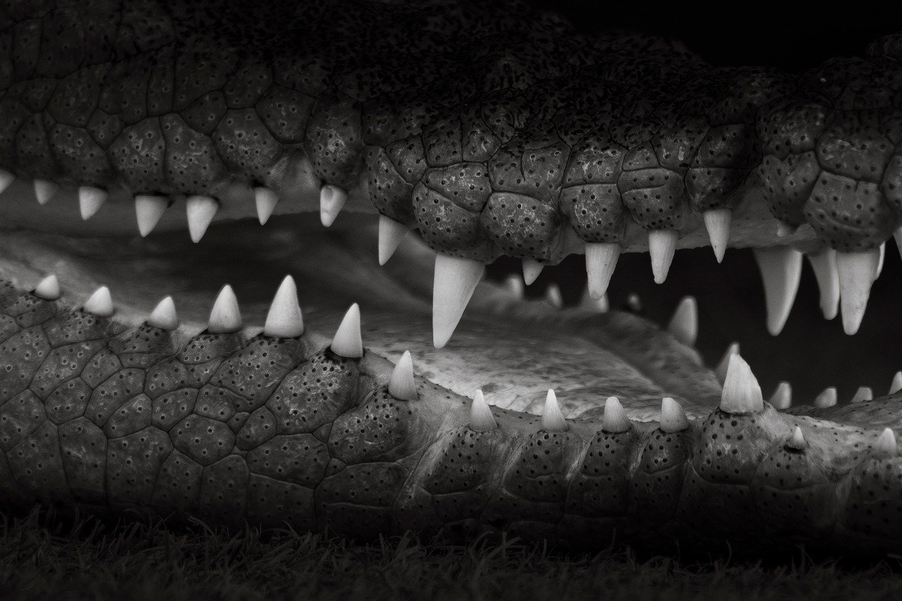 L’Australie renforce ses objectifs environnementaux pour une décennie d’actions climatiques