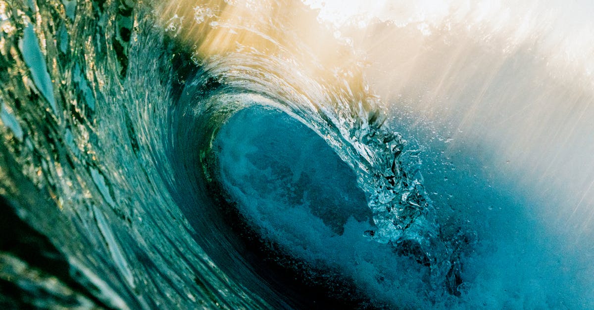 Énergie décentralisée : les avantages d’une autonomie énergétique