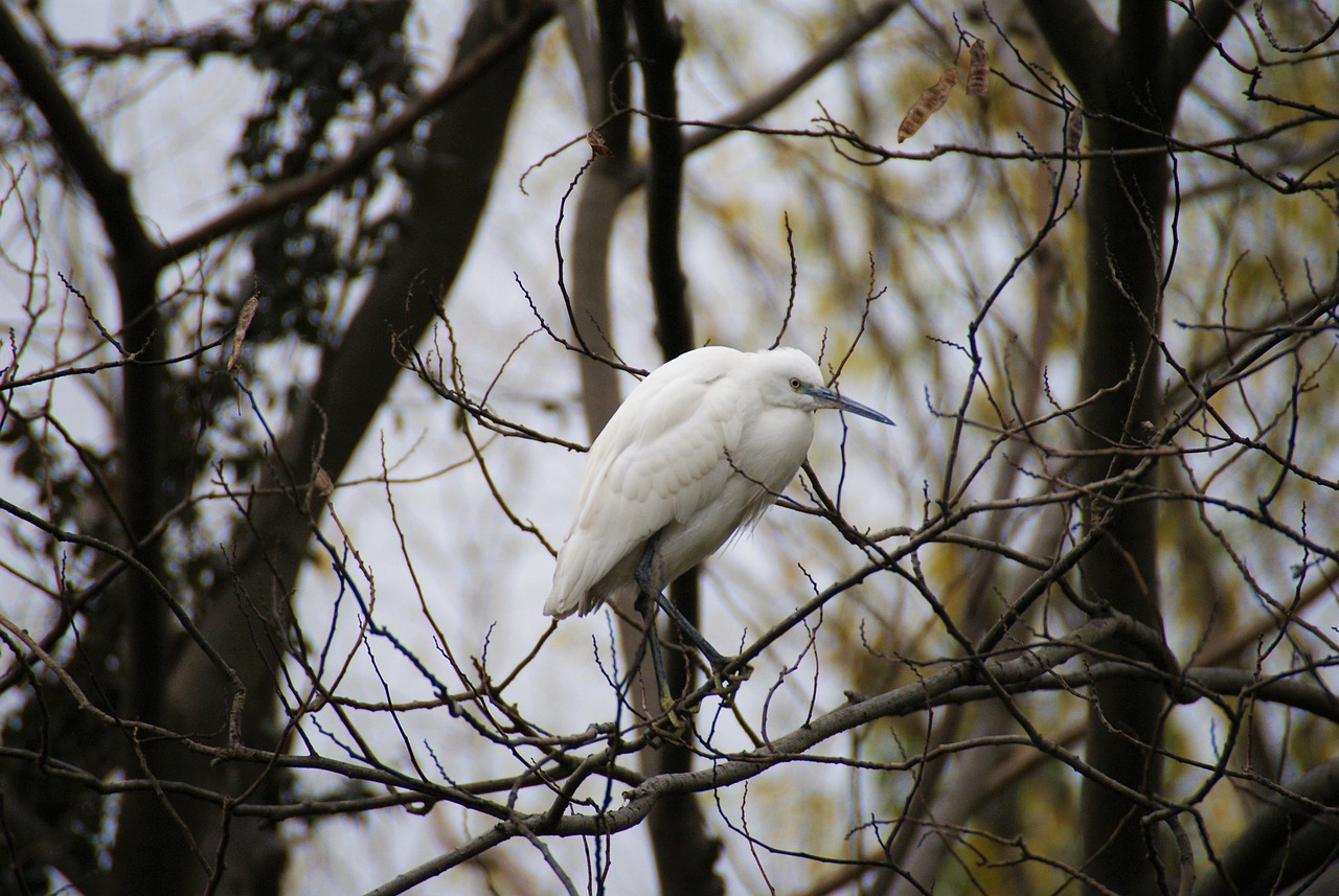 Aix Marseille Université lance un nouveau programme en « Écologie industrielle et environnementale »