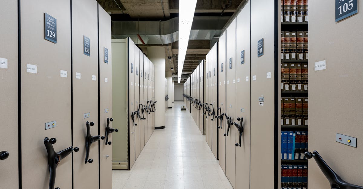 Éducation citoyenne et bilan carbone : un lien évident