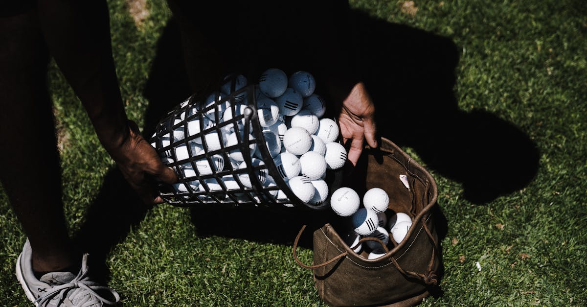 Actes verts : comprendre leur impact sur l’environnement et notre quotidien