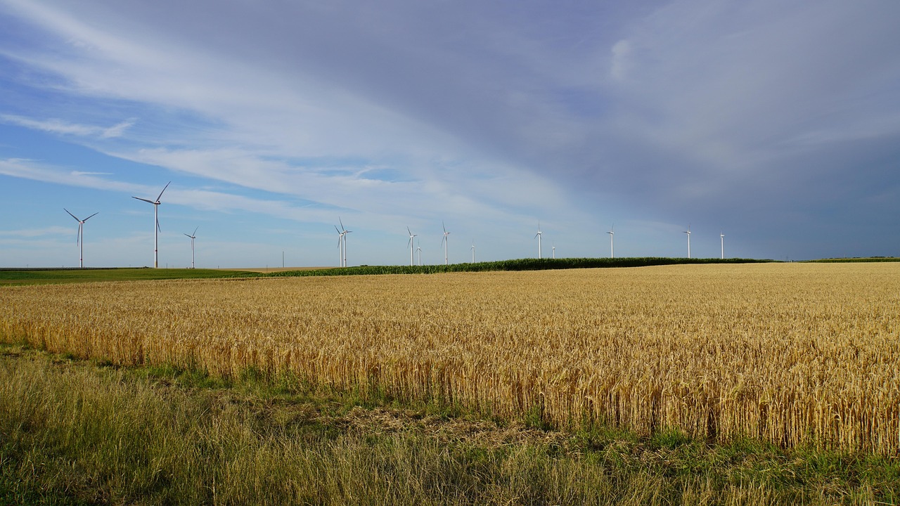 Attribution systématique des vagues de chaleur aux émissions des grandes entreprises carboniques
