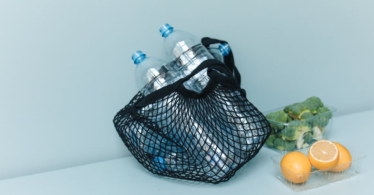 Empreinte écologique : comprendre son impact sur notre planète