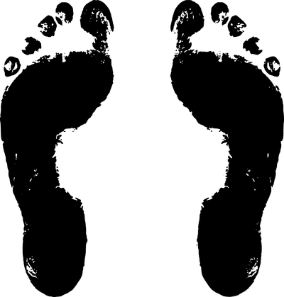 Les entreprises à succès qui ont réduit leur bilan carbone