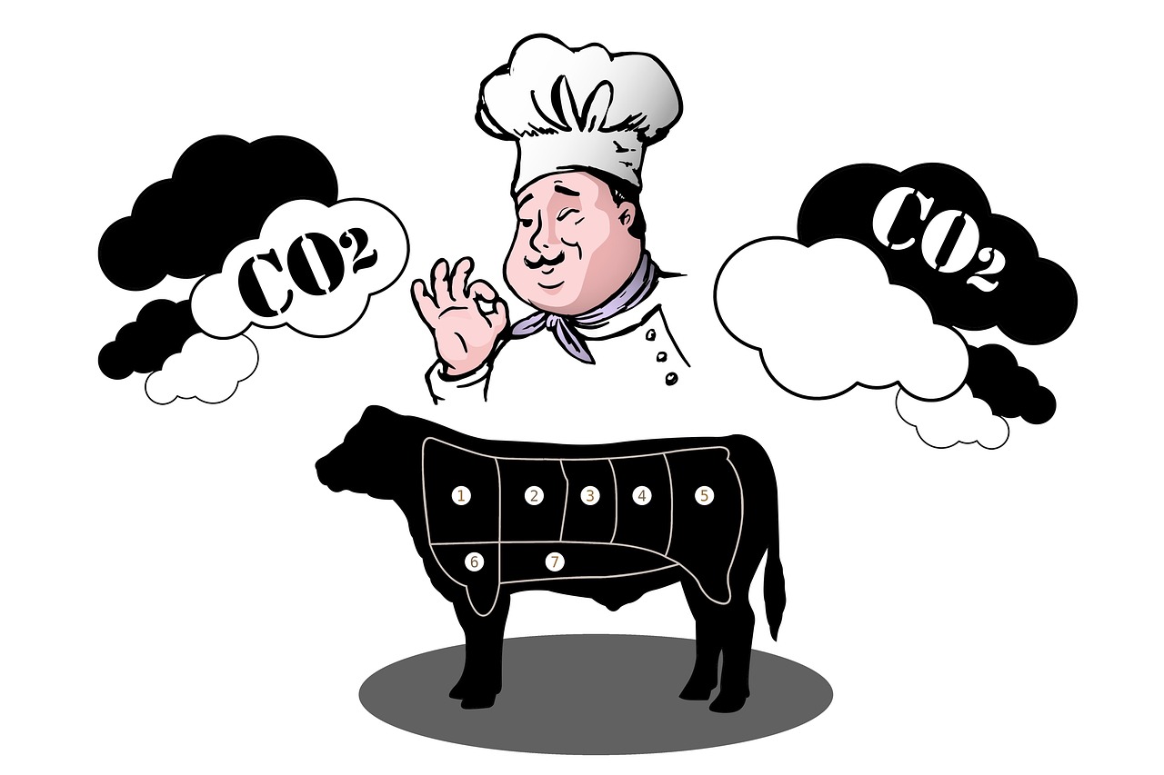 Comprendre l’Empreinte Carbone : Impact et Solutions pour un Avenir Durable