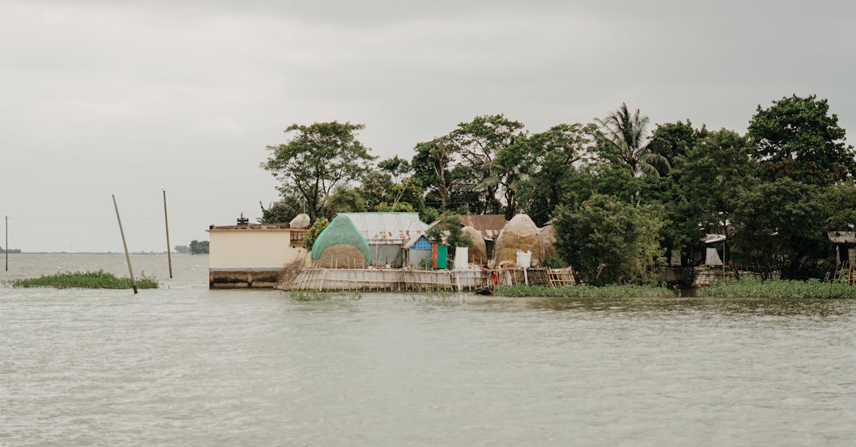 Résilience climatique : stratégies innovantes pour faire face aux défis environnementaux