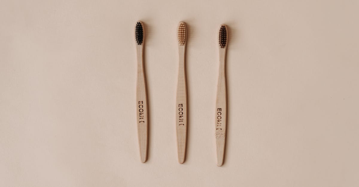 Pratiques durables : Comment adopter un mode de vie éco-responsable