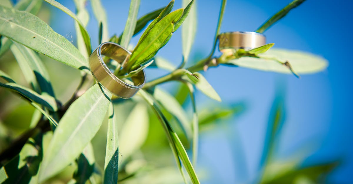 Partenariats verts : Vers une collaboration durable pour un avenir écologique