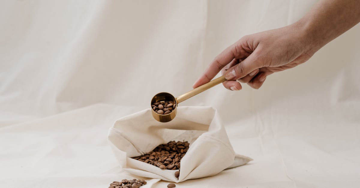 Utilisation responsable des ressources : Guide pour une consommation durable