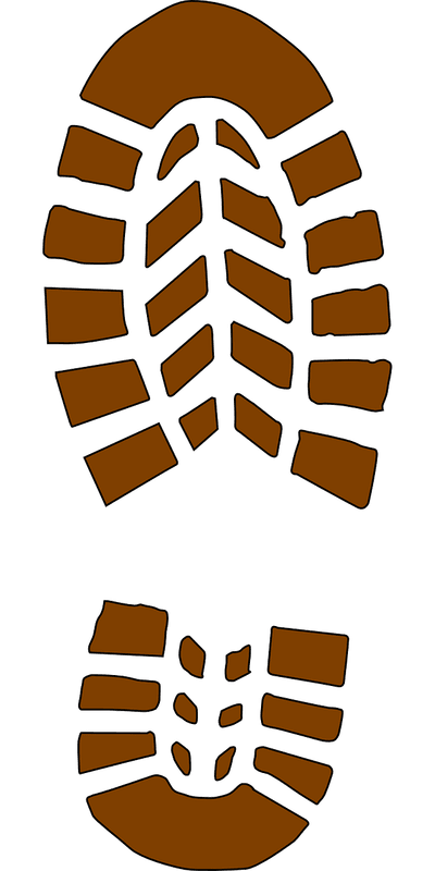 Innovations technologiques au service du bilan carbone