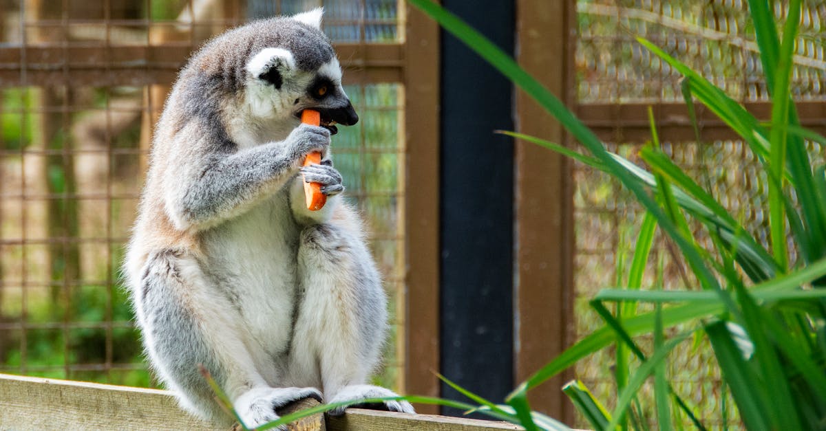 Changement des comportements : comprendre les facteurs qui influencent nos habitudes