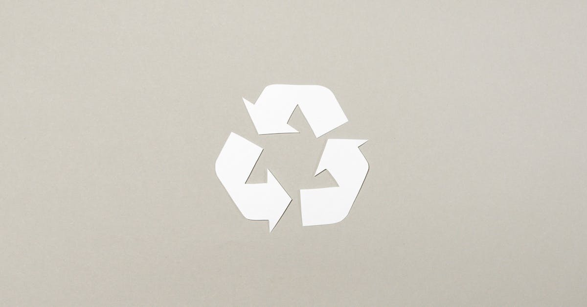 Économie des ressources : Les clés pour une gestion durable et efficace