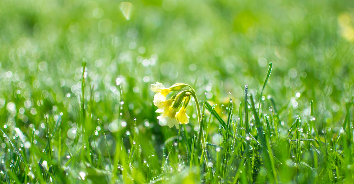 Analyse du cycle de vie : comprendre son impact environnemental dans l’industrie