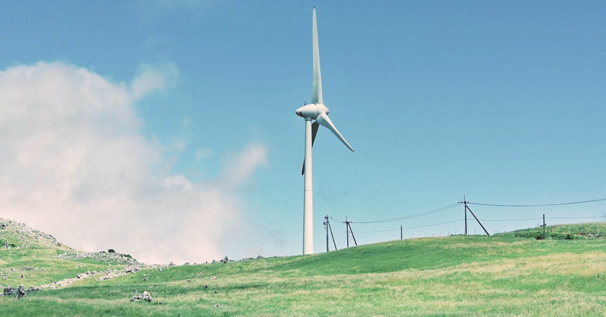 Électricité verte : comment adopter une consommation énergétique durable