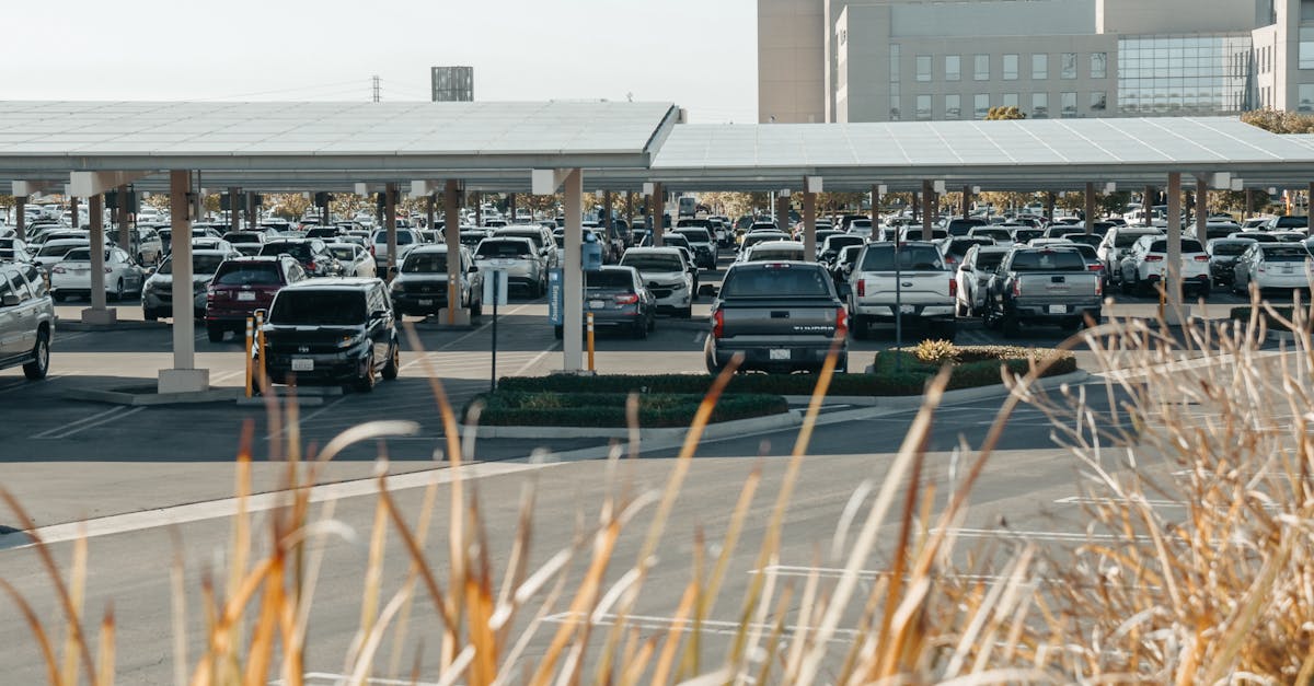 Plans d’action environnementaux : stratégies pour un avenir durable