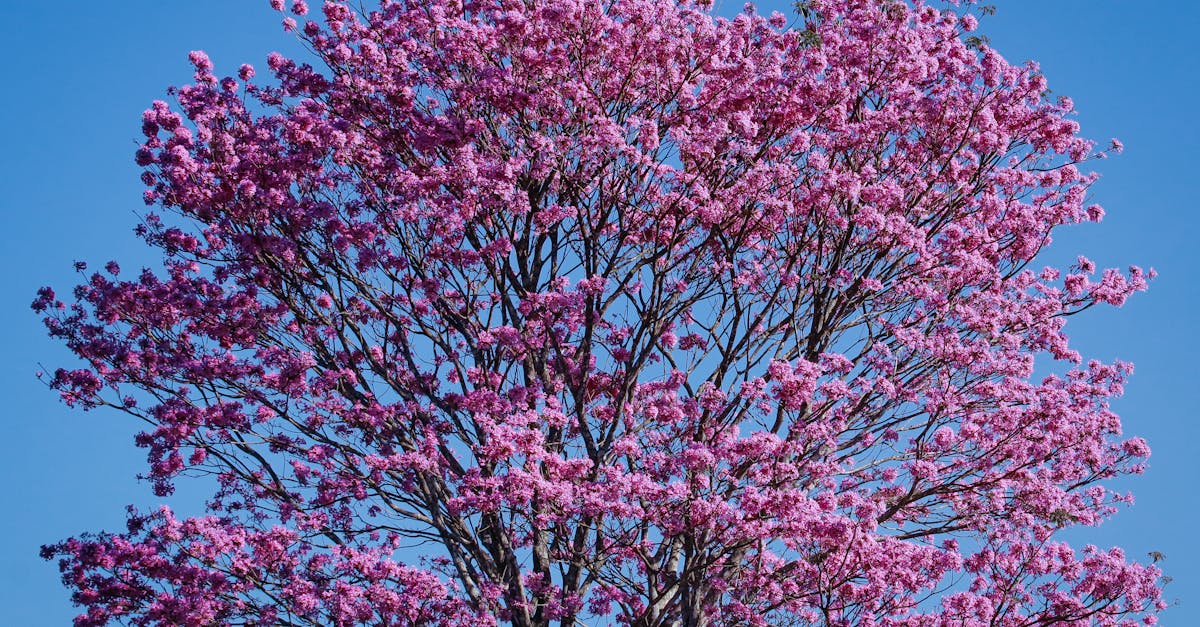 Solutions climatiques : comment agir efficacement contre le changement climatique