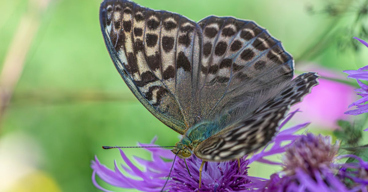 Comités de l’environnement : un rôle crucial dans la préservation de notre planète