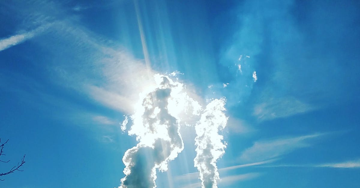 Impact de la pollution sur la santé humaine et l’environnement