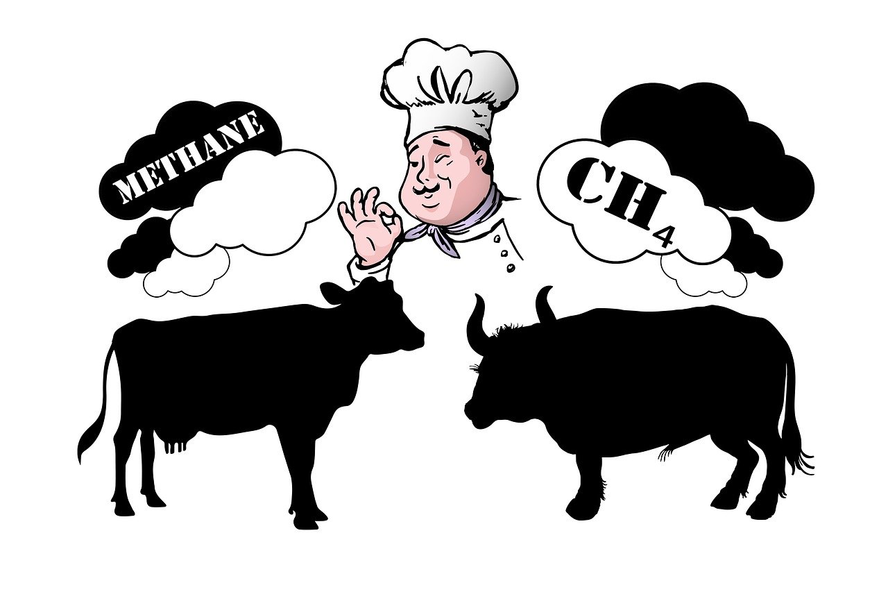 En 2024, la France fait face à une recrudescence des émissions de gaz à effet de serre