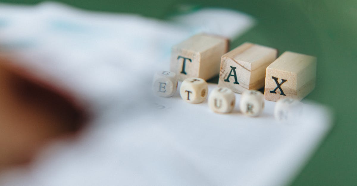 Ajustements fiscaux verts : comment optimiser votre fiscalité tout en préservant l’environnement