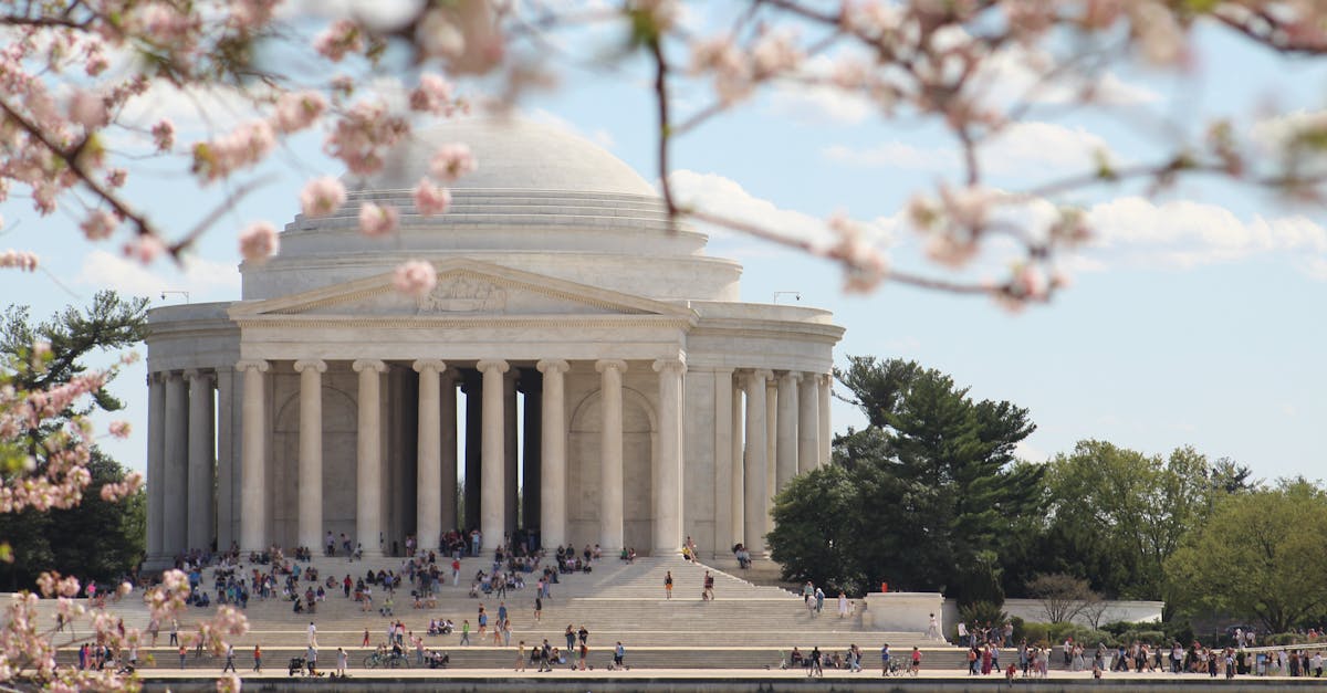 Évaluation du capital naturel : Comprendre son importance pour la biodiversité