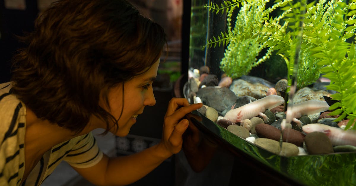 Soutien à l’éducation environnementale : comprendre son importance pour les jeunes générations