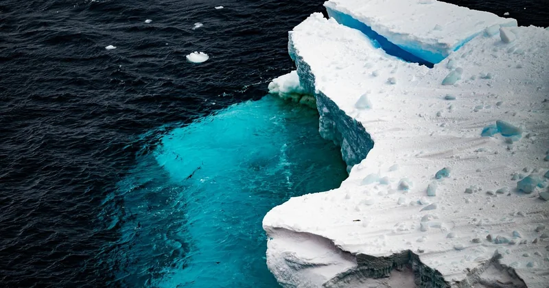 La gouvernance climatique, levier le plus efficace des investisseurs