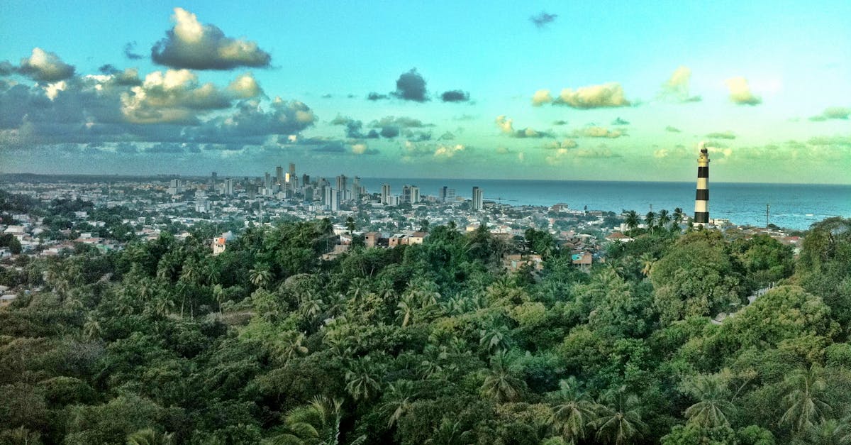 Villes durables : Les clés pour un avenir écologique et inclusif