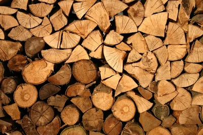 Brésil : un plan climat ambitieux place la lutte contre la déforestation au premier rang