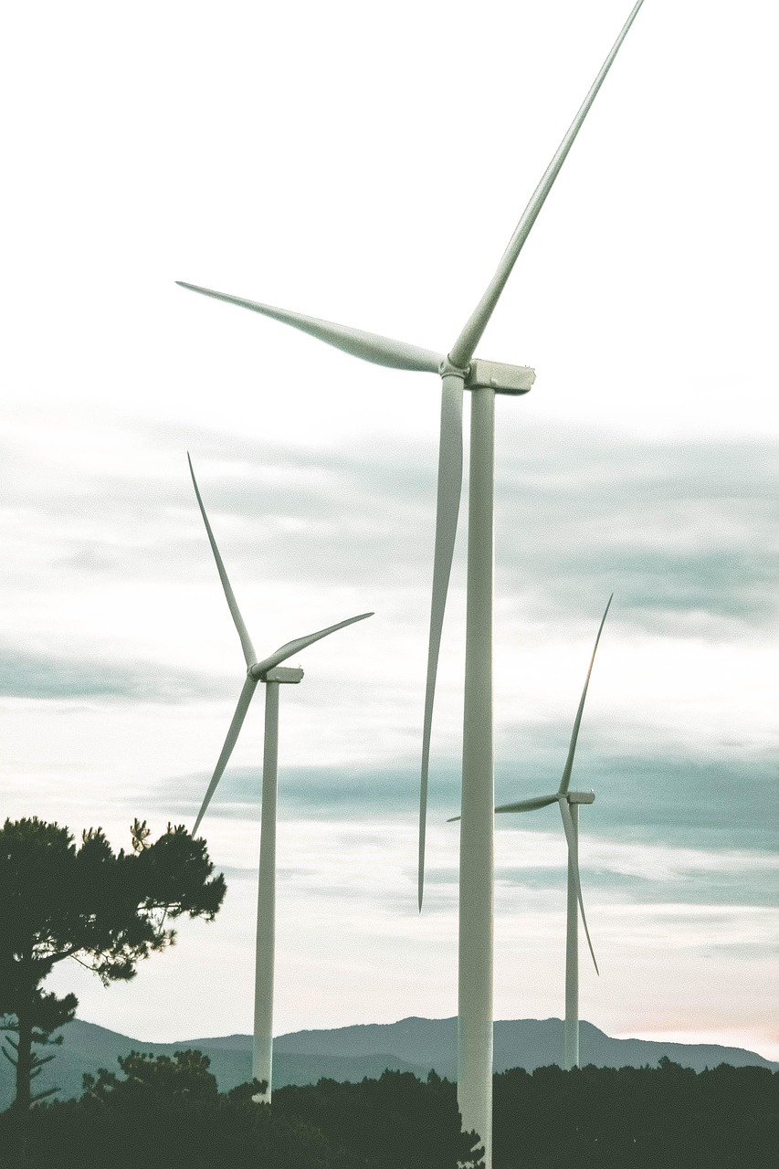 Les énergies renouvelables : piliers d’une transition énergétique réussie