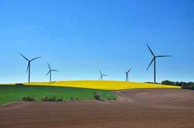 célébrer la Journée de la Terre avec Angel Yeast : initier une révolution dans la production écologique grâce à une usine zéro carbone