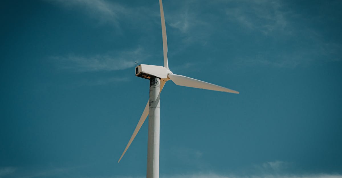 Bonnes pratiques pour un bilan carbone positif en éducation