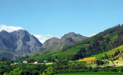 Environnement : le secteur viticole s’active autour du projet « Bourgogne neutralité 2035 »
