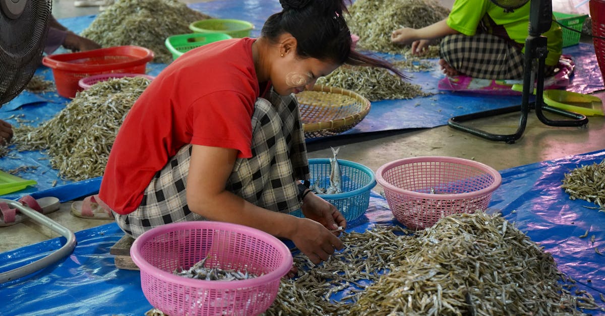 Restaurations écologiques : Initiatives durables pour préserver notre environnement