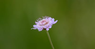 Normes environnementales : enjeux et impacts sur l’industrie moderne