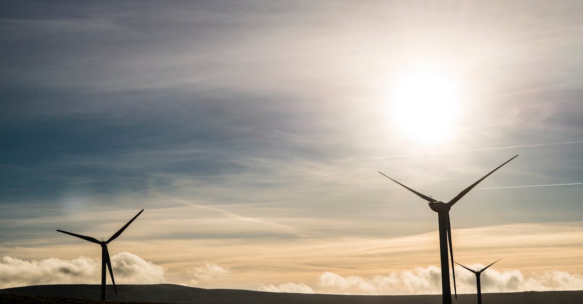 Compétences professionnelles écologiques : Vers un avenir durable dans le monde du travail