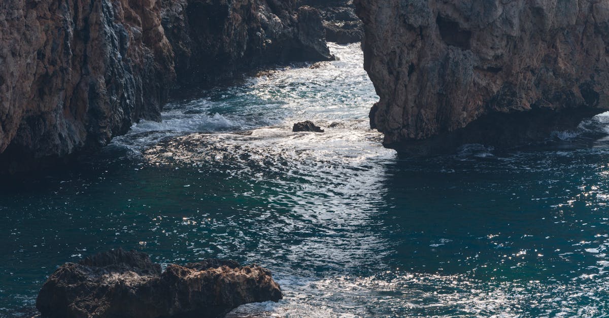 Vision climatique : Comprendre les enjeux et solutions pour un avenir durable