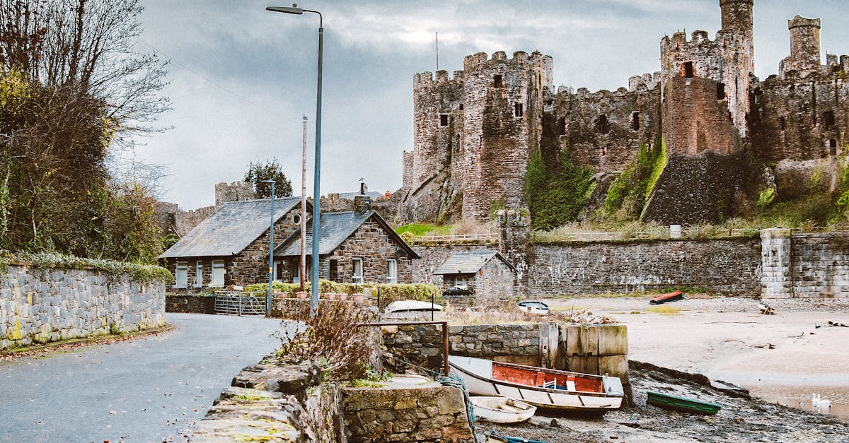 Restauration des paysages : enjeux et pratiques pour un avenir durable