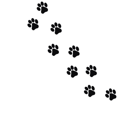 Bilan carbone et efficacité énergétique : un duo gagnant