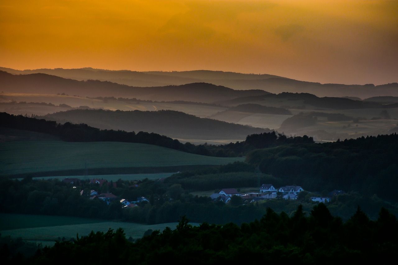 Les forêts : Quand l’émission de CO₂ dépasse leur capacité de capture