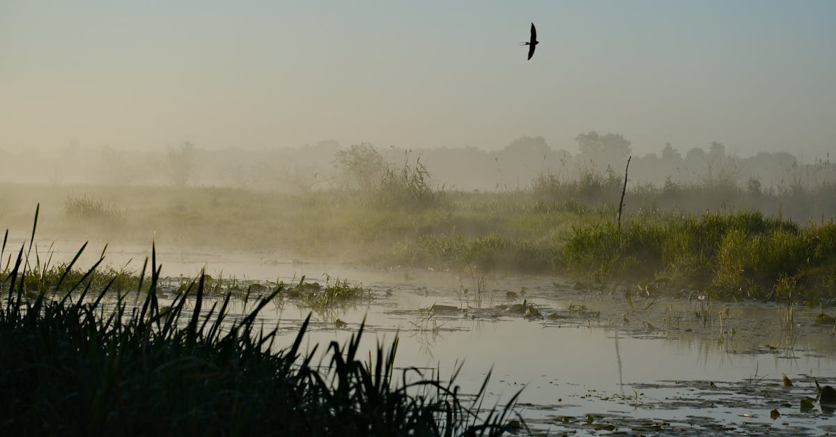 Coûts environnementaux : comprendre les impacts écologiques de nos choix quotidiens