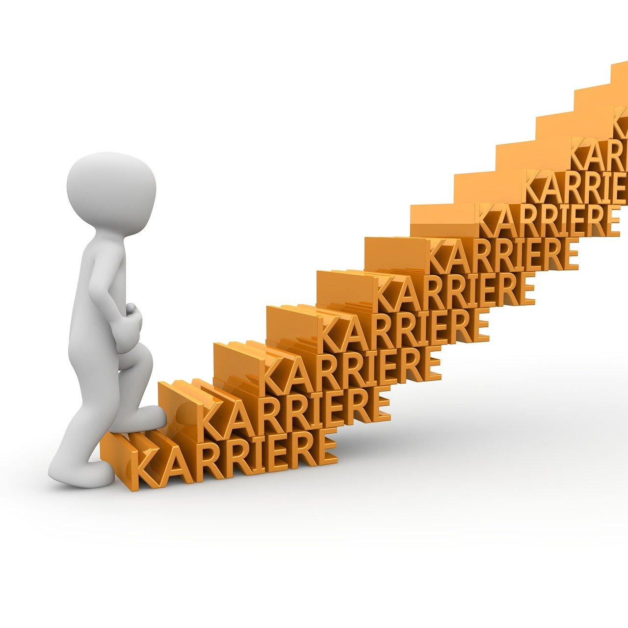 Éveiller sa carrière en licence : S’engager pour l’avenir de l’environnement et de la société avec Louis