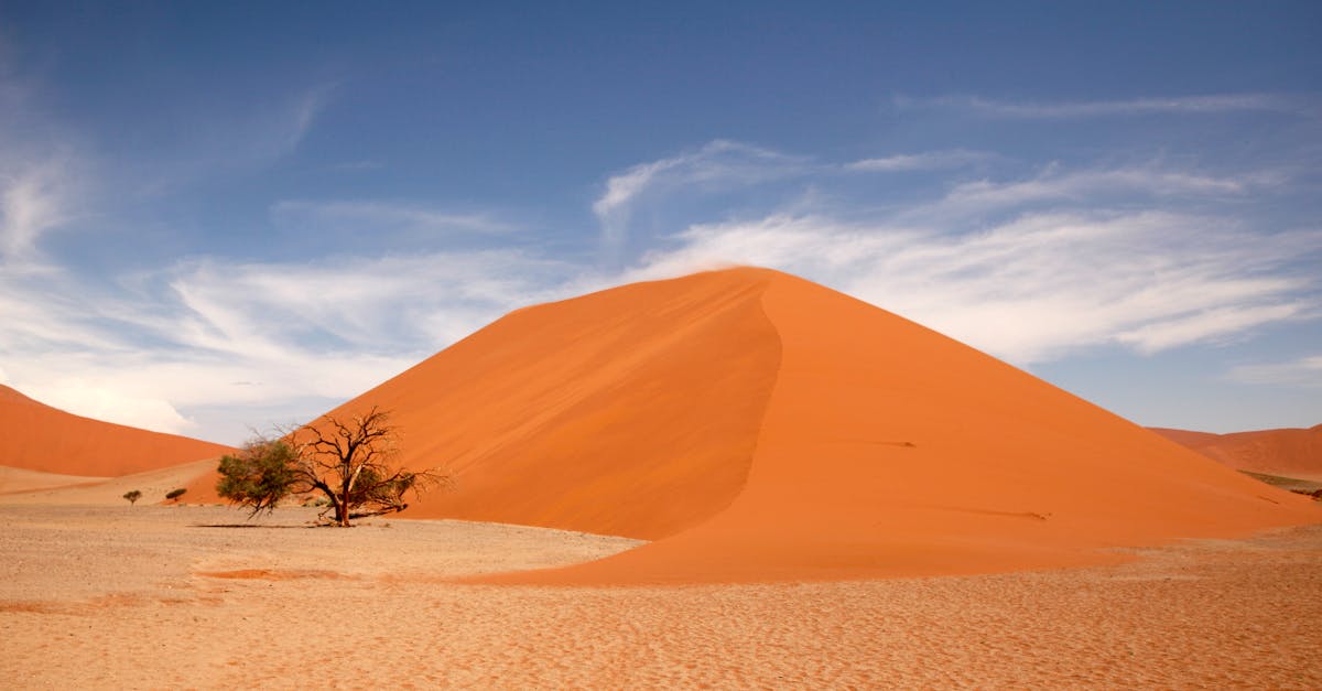 Politique climatique : enjeux et solutions pour un avenir durable