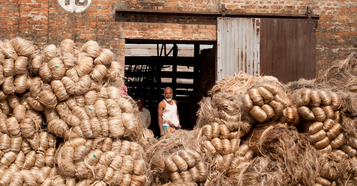 Studios verts : l’avenir de la production durable