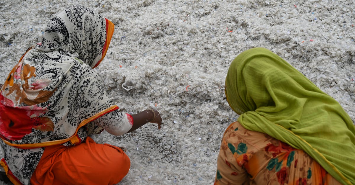 Économie verte : Les clés pour une transition durable en entreprise