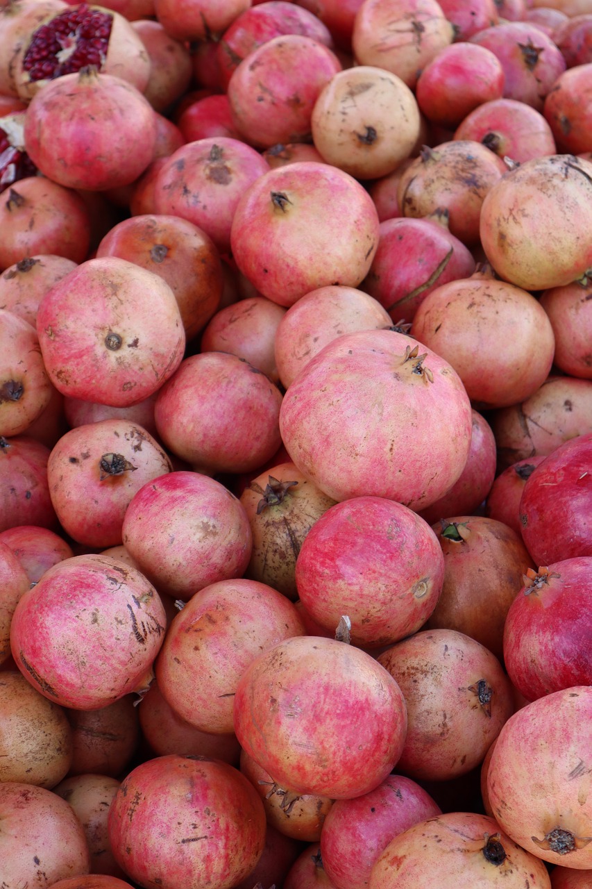 Comment notre alimentation influence l’avenir de la planète : impacts écologiques à découvrir