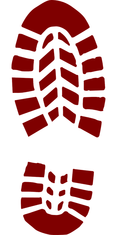 Réduire le bilan carbone : défis et opportunités