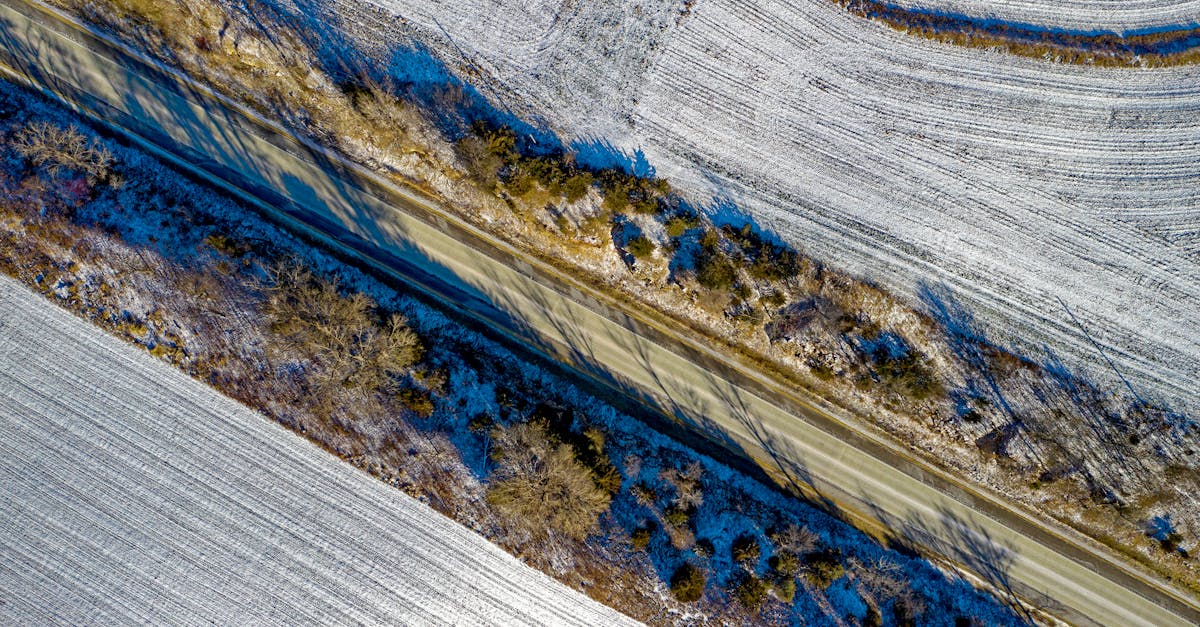 Biohiver : Découvrez les bienfaits de l’agriculture hivernale sur l’écosystème