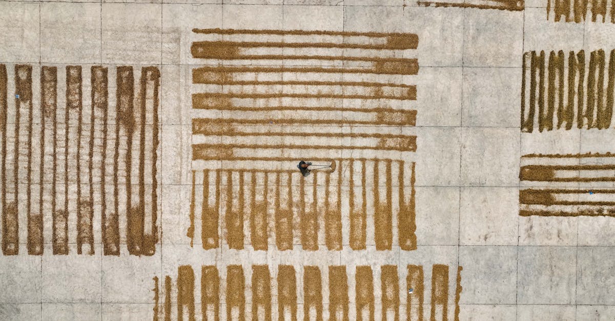 Adaptation au climat : stratégies pour un avenir durable face aux changements environnementaux