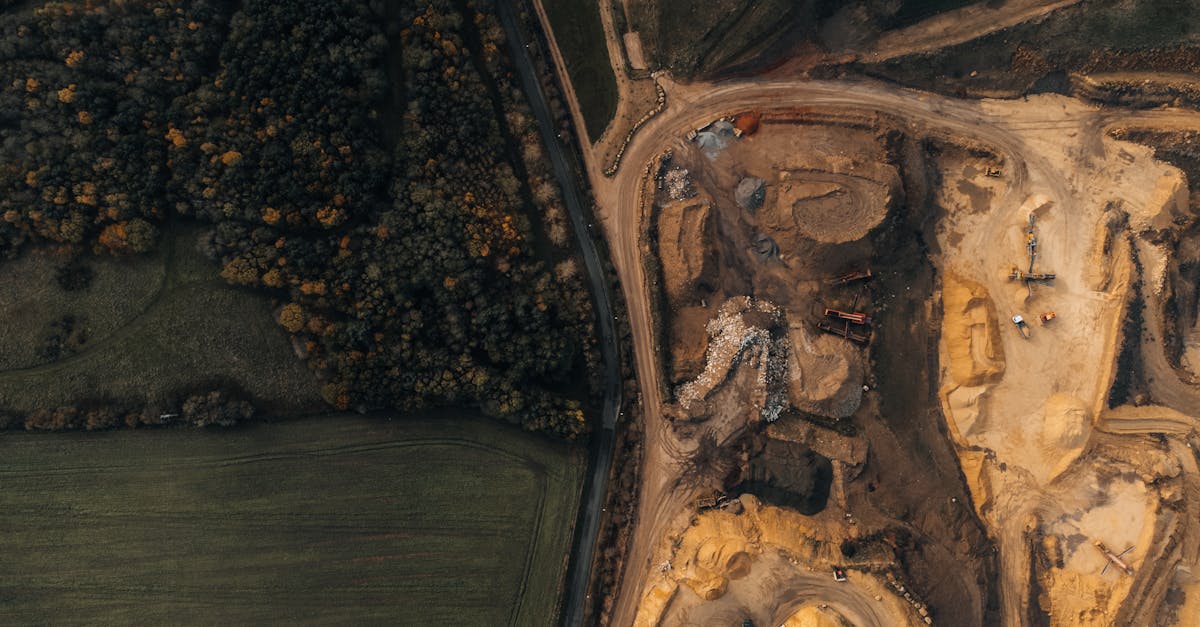 Gestion des écosystèmes : Pourquoi est-elle cruciale pour notre avenir ?